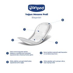 Canped Mesane Pedi Yoğun Large Beden 40 Adet