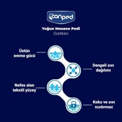 Canped Mesane Pedi Yoğun Large Beden 60 Adet