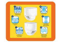 Canped Emici Külot Medium 60 Adet